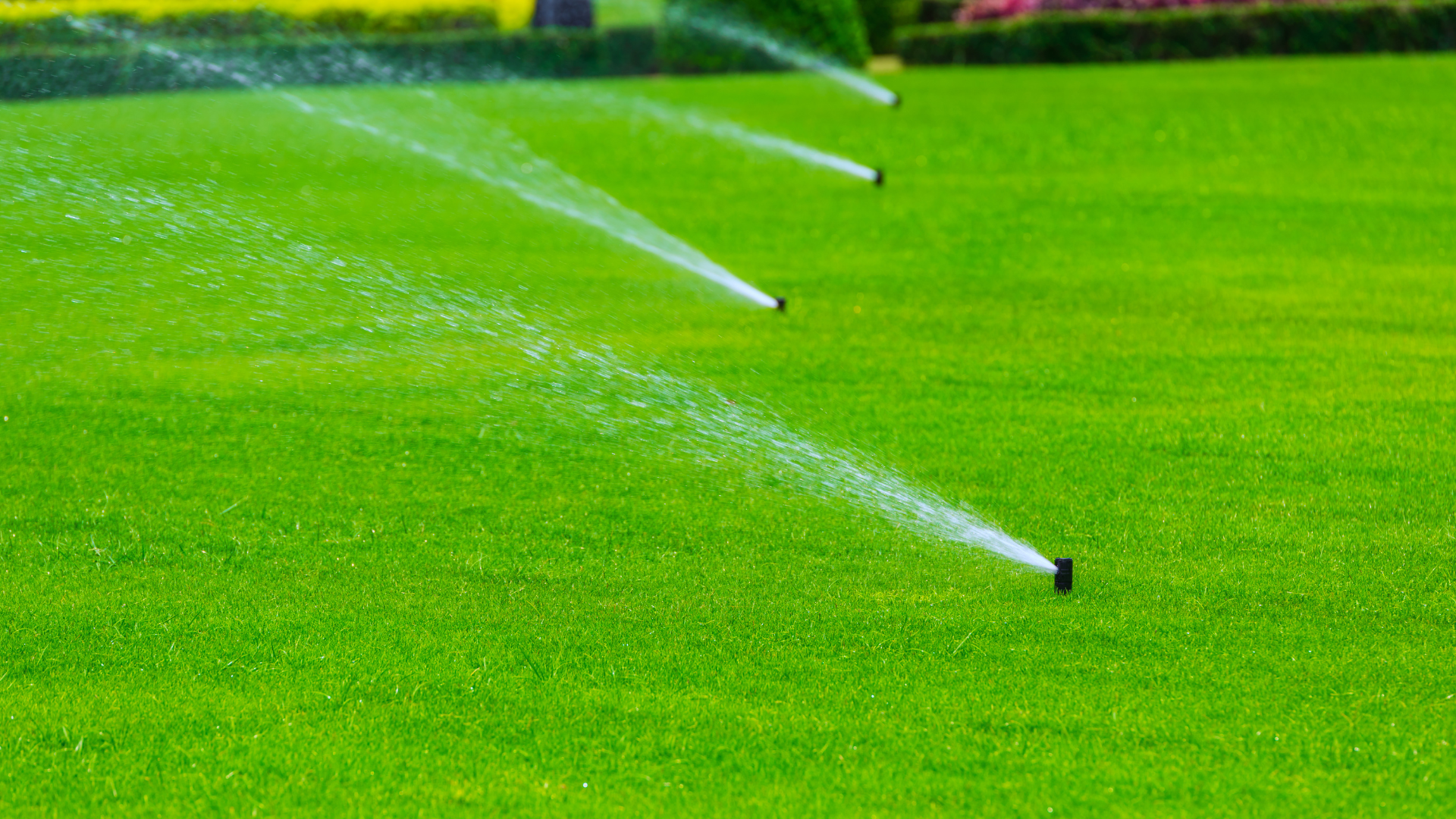 Sprinklers