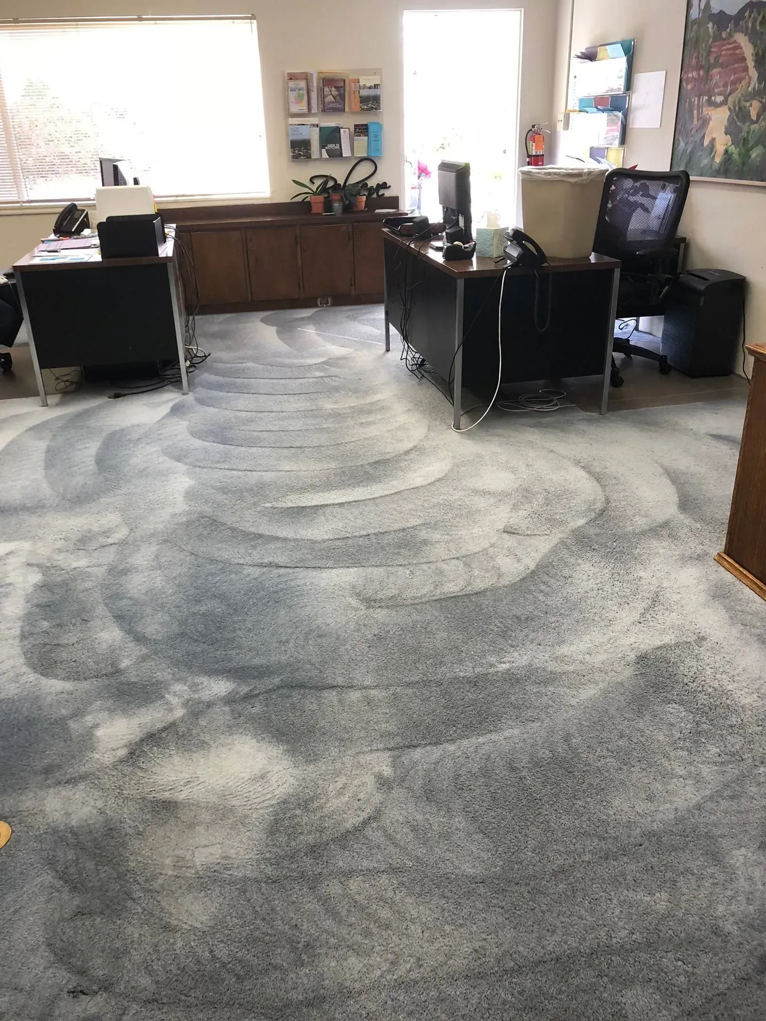 Office interior with desks, chairs, and a large gray carpet in front of bright windows.