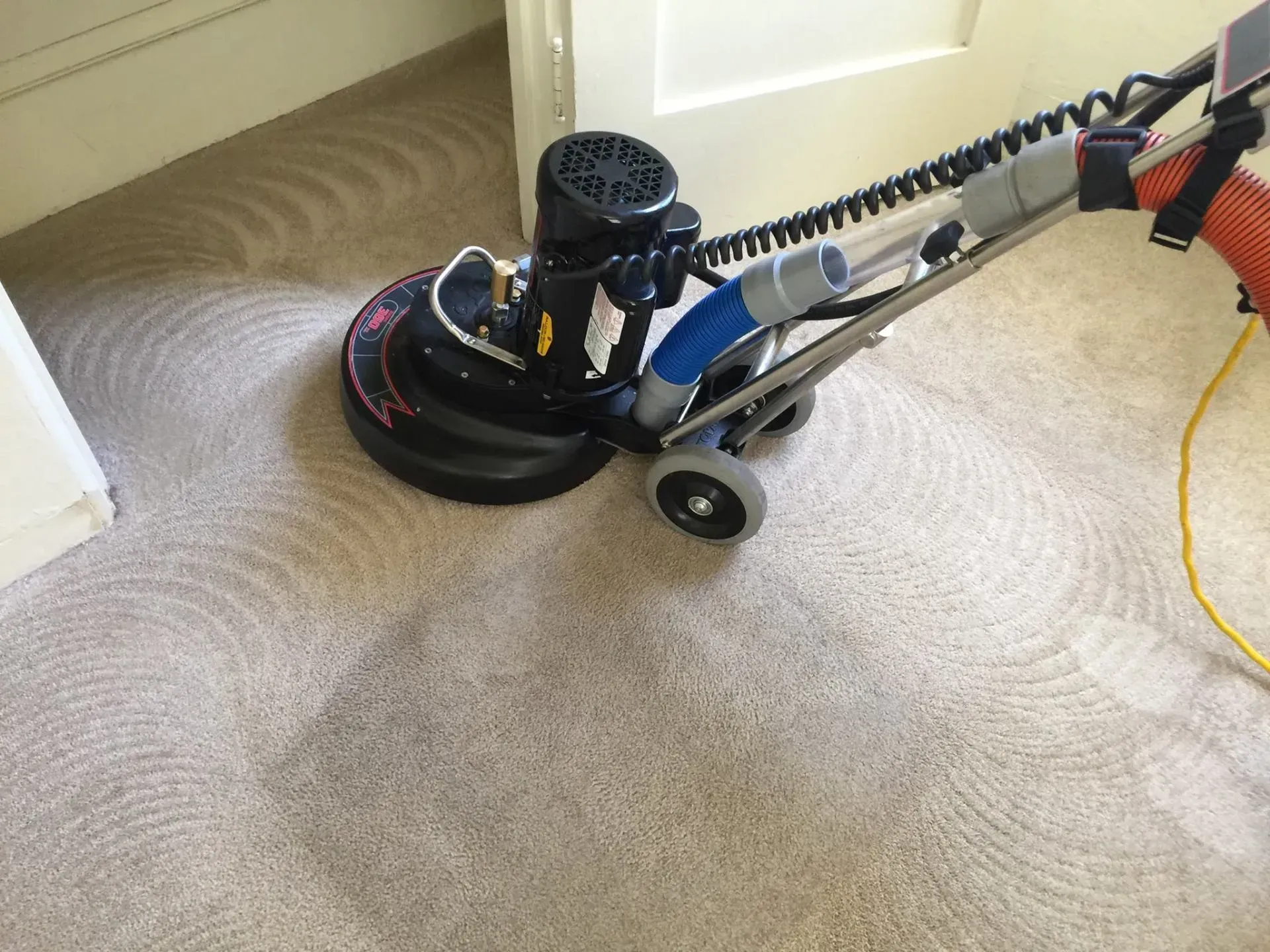 Carpet cleaner vacuum on beige carpet near a doorway, with a black canister and metal handle