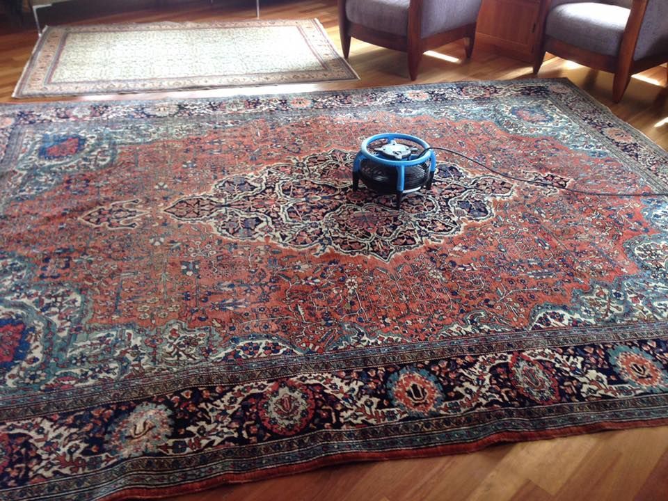 Patterned red-blue rug in a sunlit room, with a small blue object centered on it near chairs and a window.