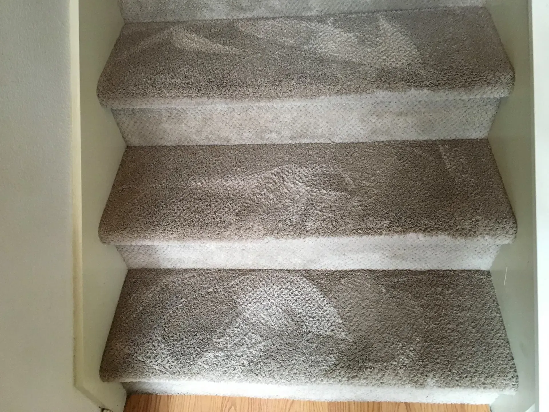 Carpeted staircase with three steps in a narrow hallway
