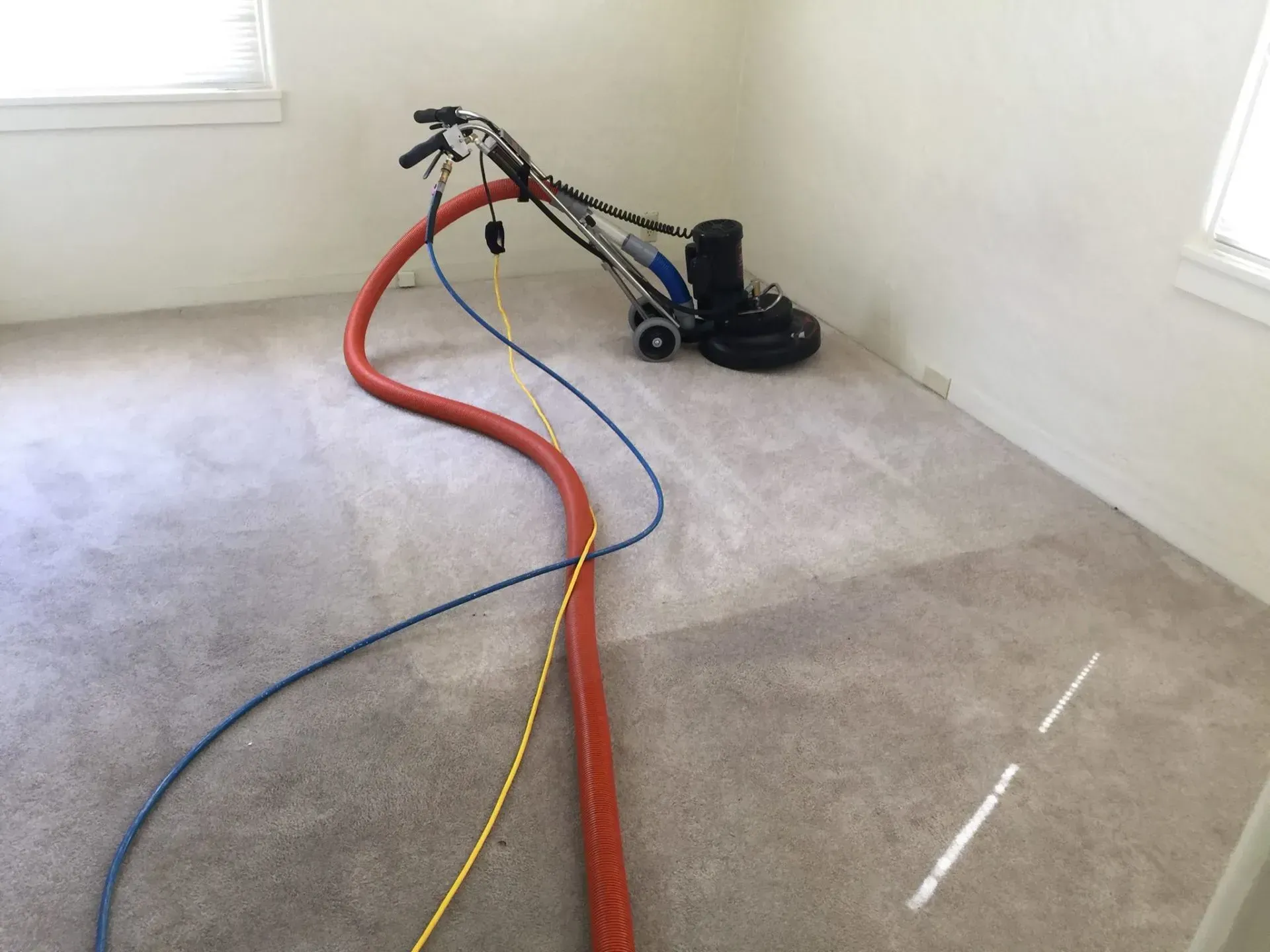 Carpet cleaning machine in a beige room with red, blue, and yellow hoses stretched across the floor