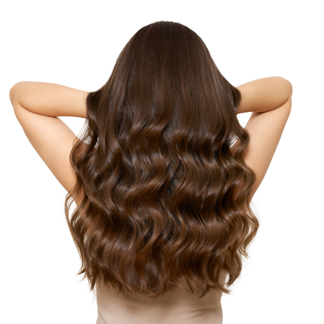 Back view of long wavy brown hair with arms raised against a white background