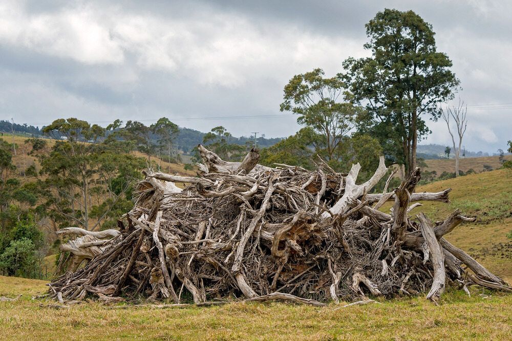 Pile of Dried Tree Branches and Roots on A Grassy Field — KAT Earthmoving In Nine Mile, QLD