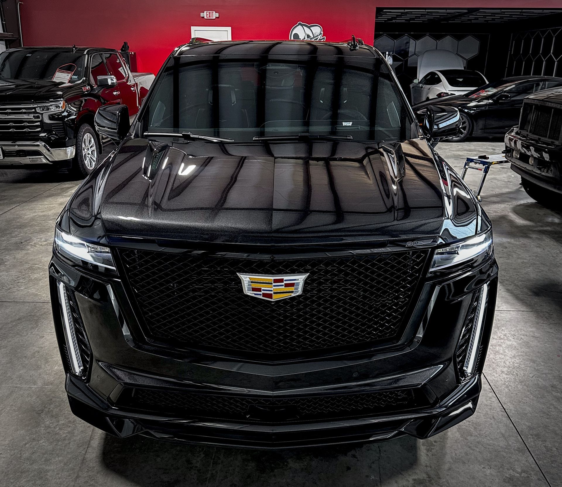 Black Cadillac SUV parked in a showroom, front view with glossy hood and red wall backdrop