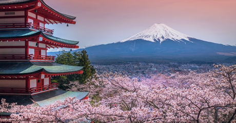 Red pagoda with cherry blossoms and Mount Fuji under a pink sky