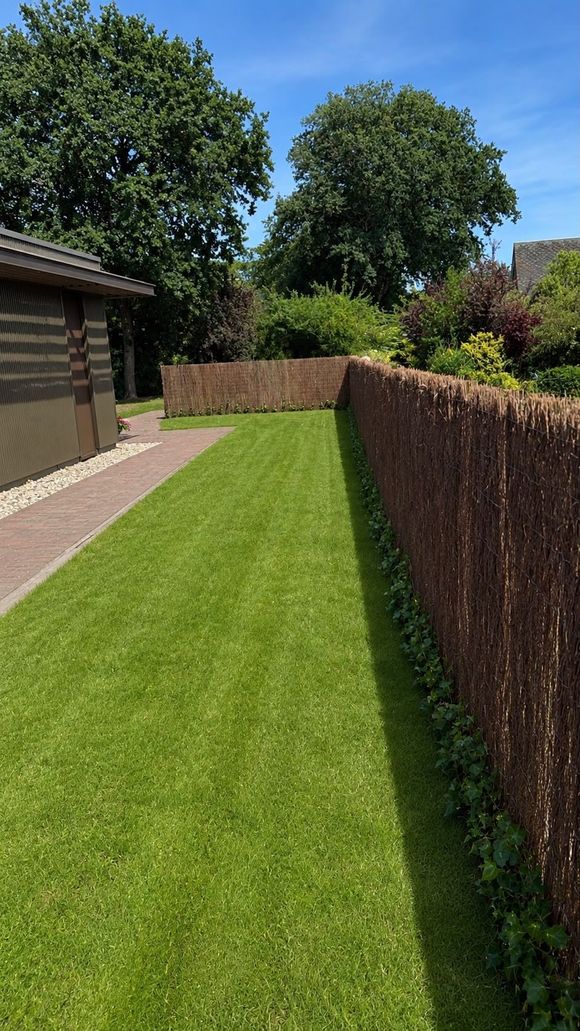 tuin met hekwerk en hedera