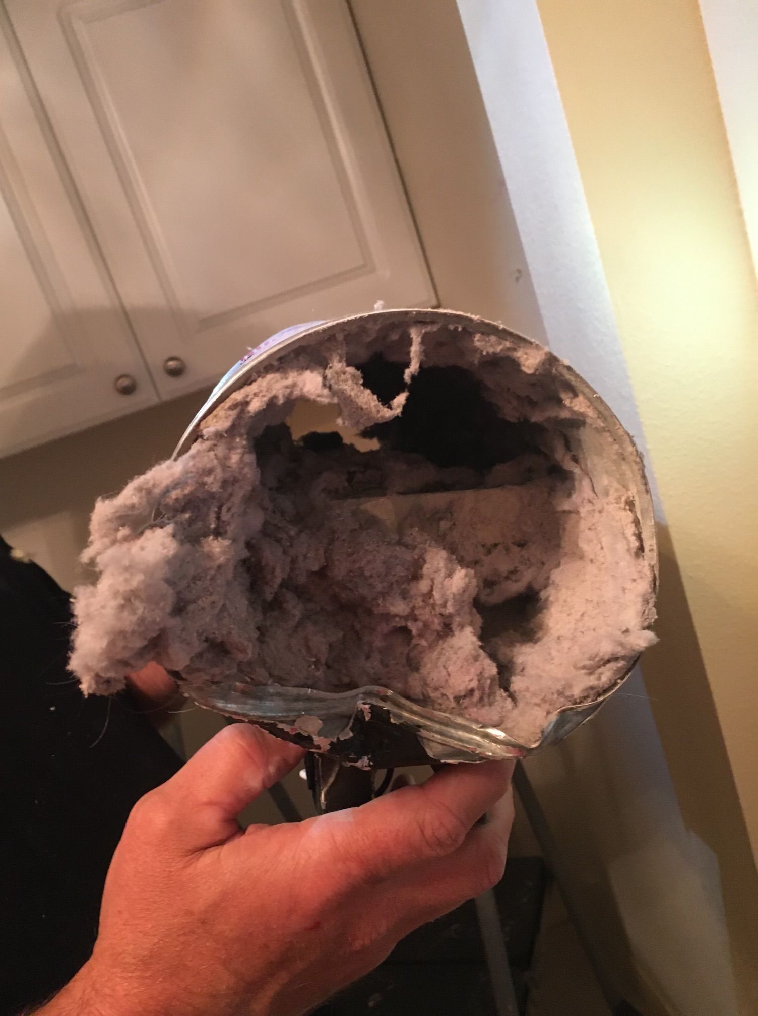 A person is holding a dirty vacuum cleaner in their hand.