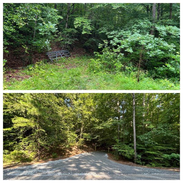 Two views of a wooded roadside area with dense green trees and a gravel path.