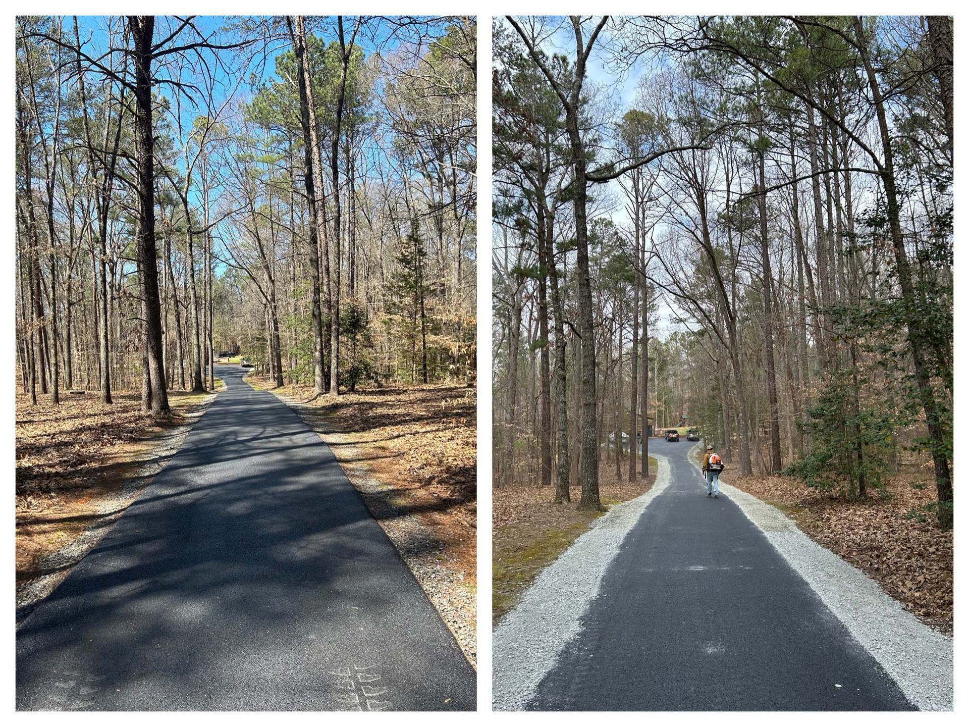Split-view of a paved forest trail in winter, one side shaded and one side bright with a cyclist riding ahead.