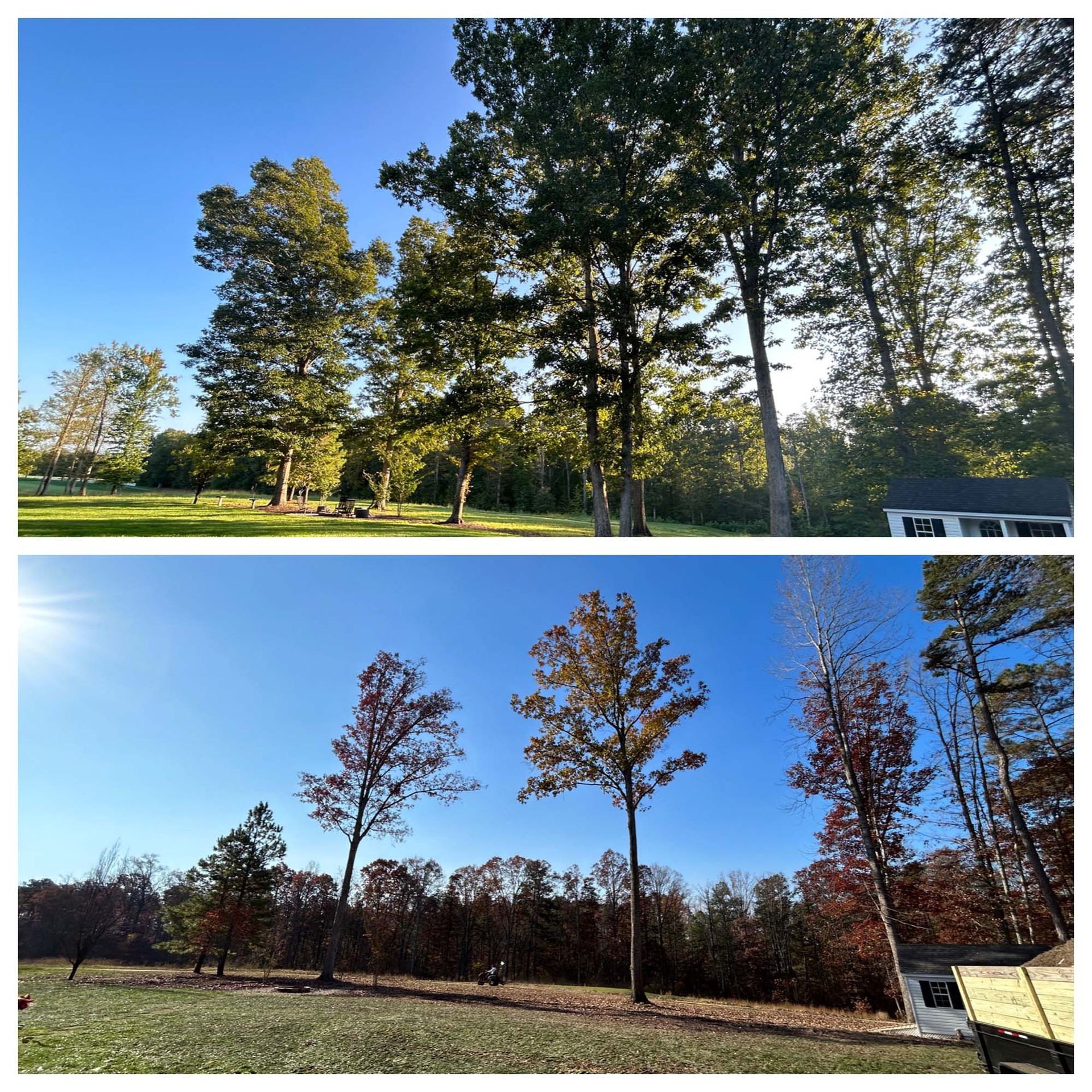 Two landscape photos of the same trees, lush green in spring above and leafless in autumn below.