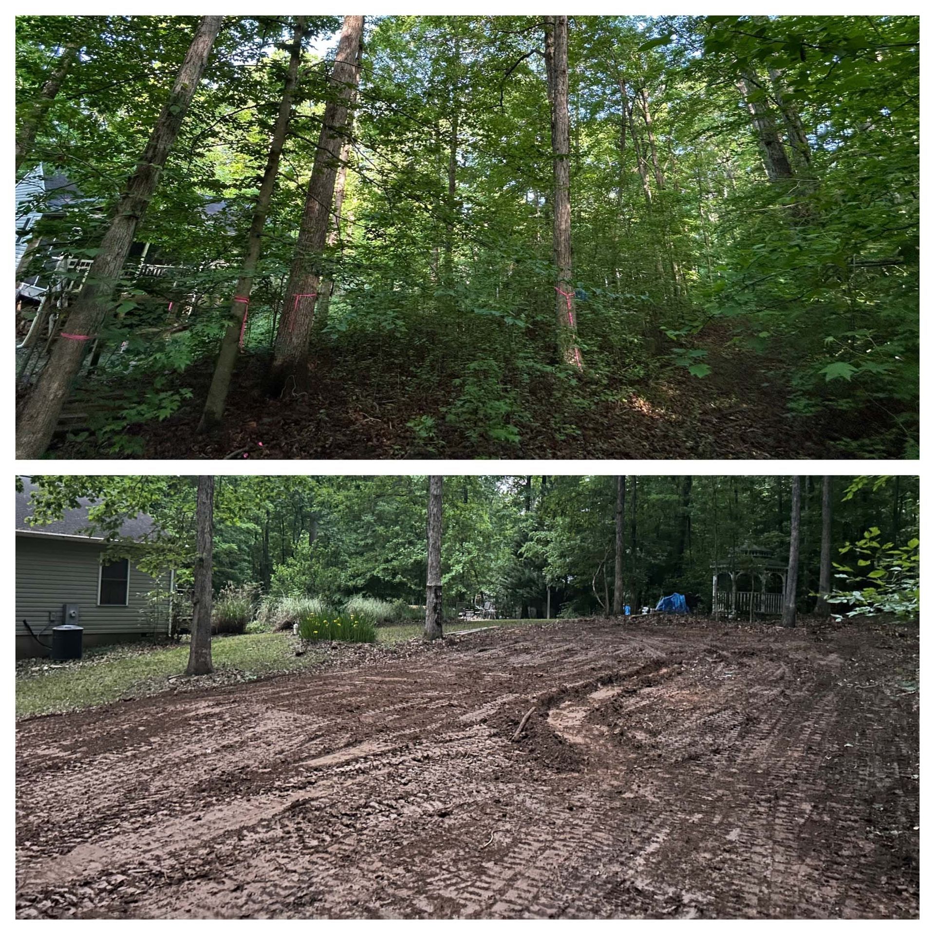 Split view of a wooded lot before and after clearing, with dense trees above and a dirt clearing below