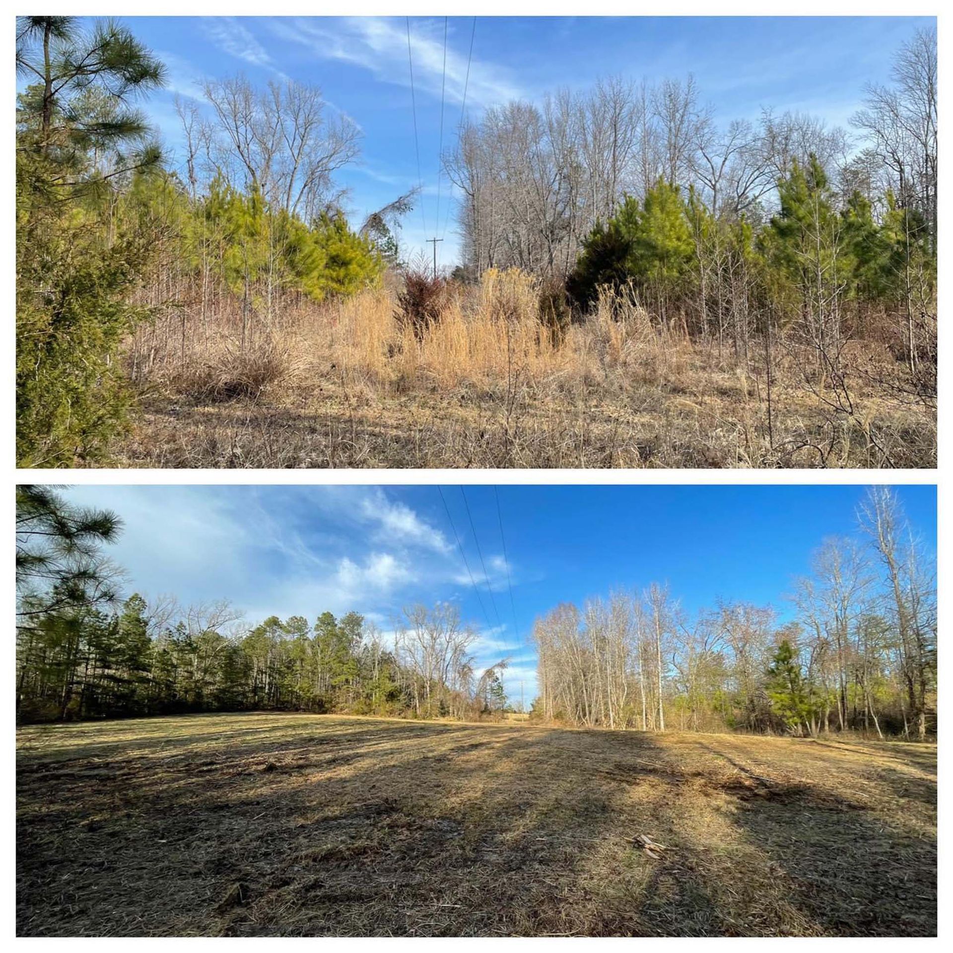 Two views of a grassy clearing bordered by trees under a blue sky