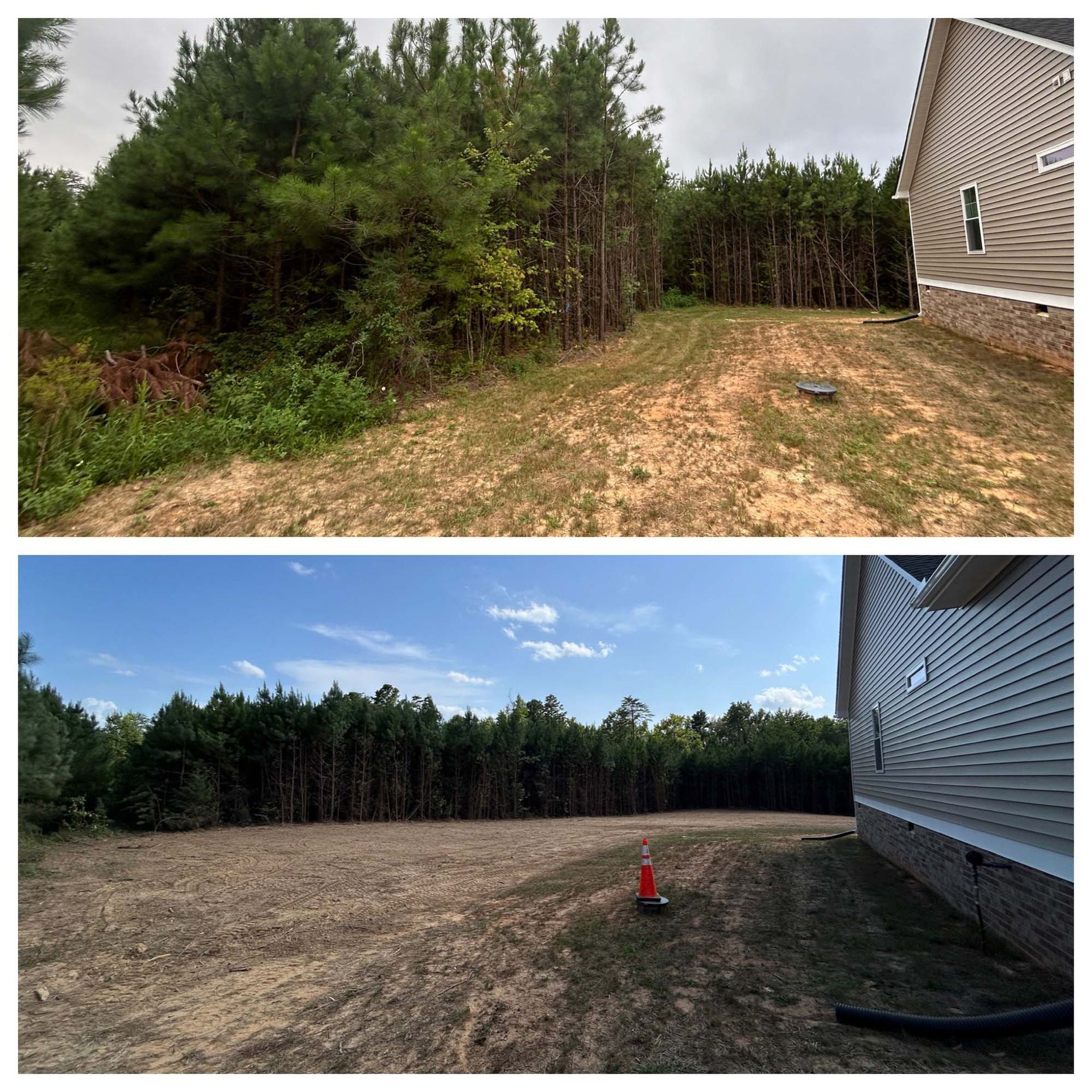 Backyard before-and-after: overgrown trees cleared to a bare dirt lot beside a house, with orange cone.