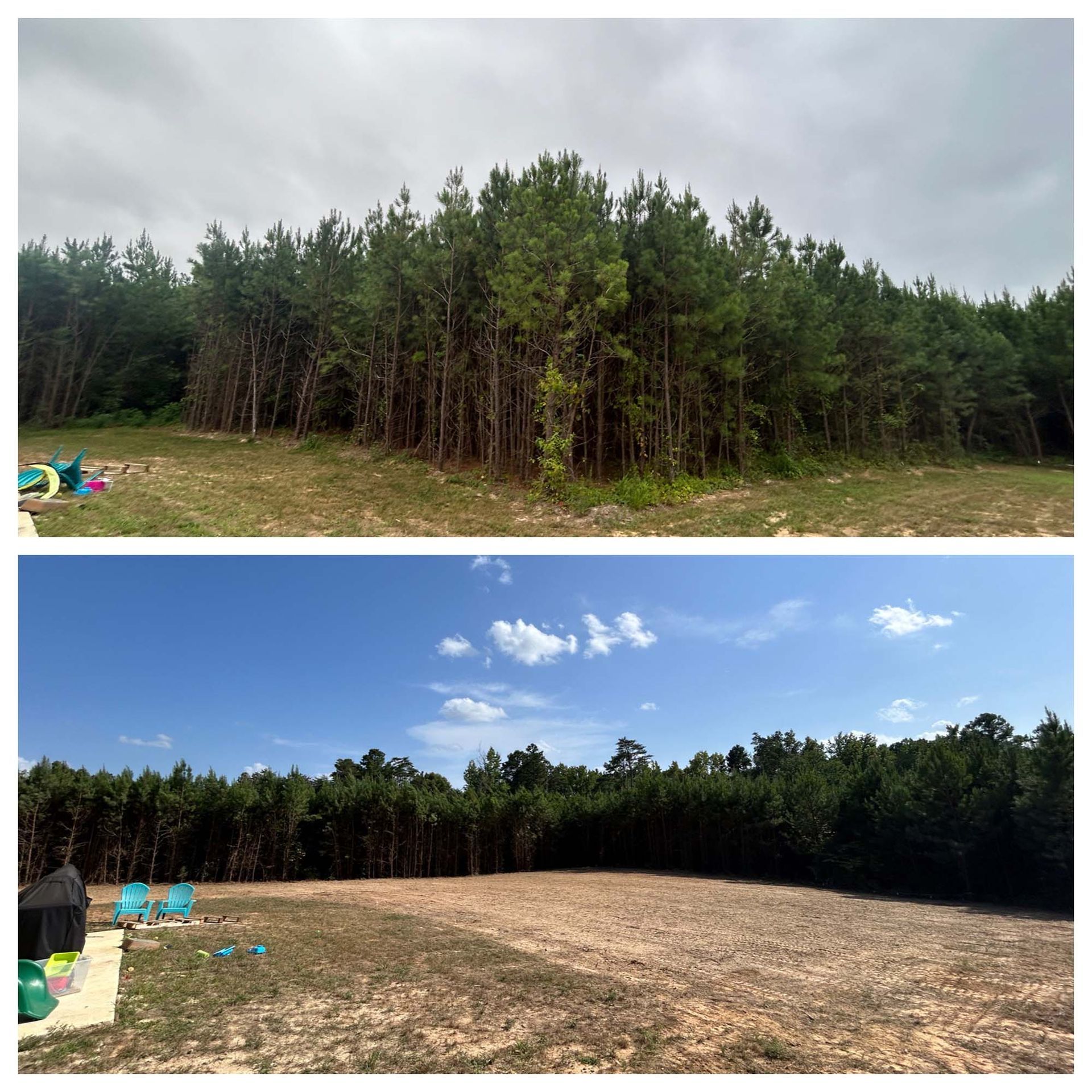 Two landscape photos: a forest edge and a cleared sandy lot under cloudy and sunny skies.