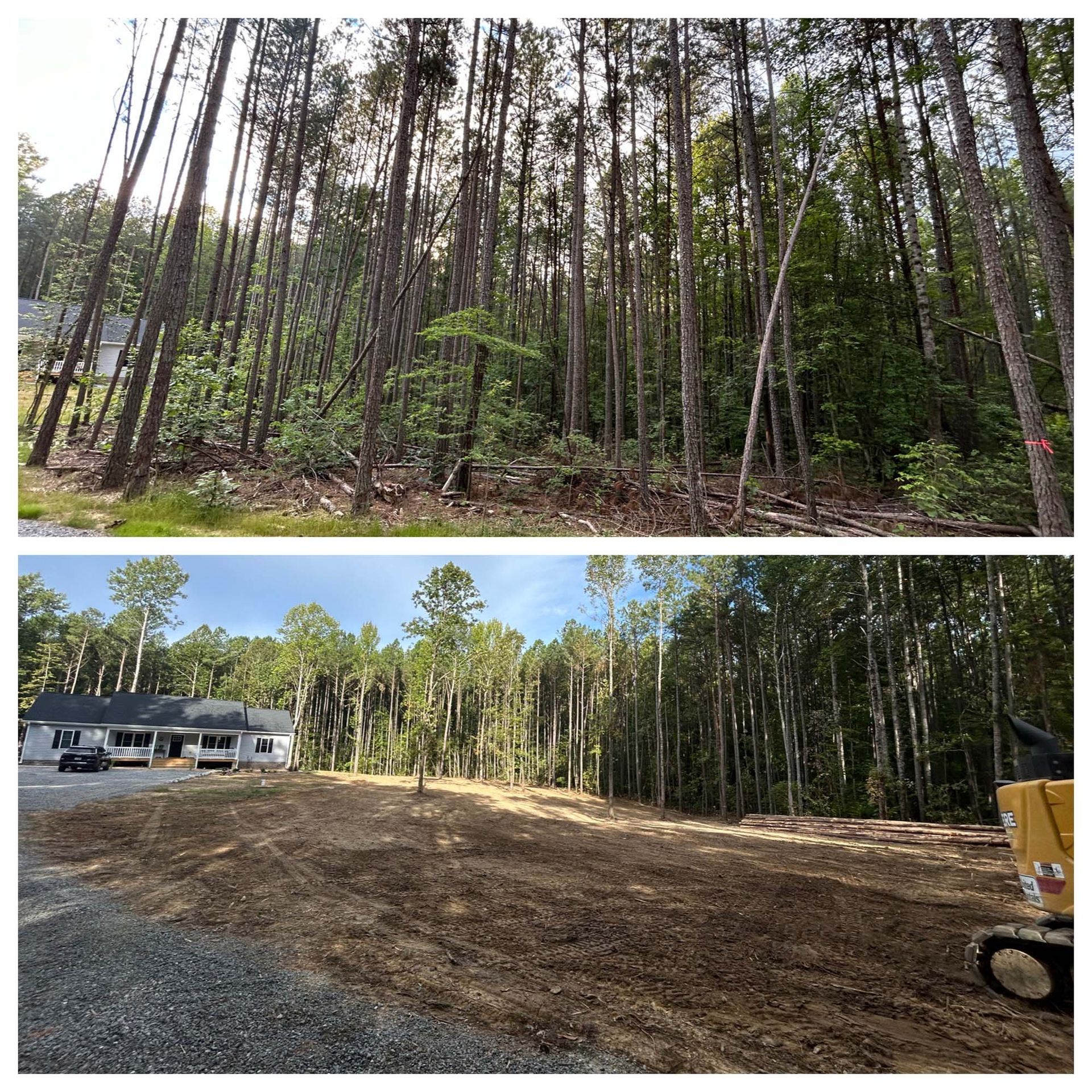 Two forest scenes: tall pine trees before and after clearing, with a dirt lot and house in the lower view