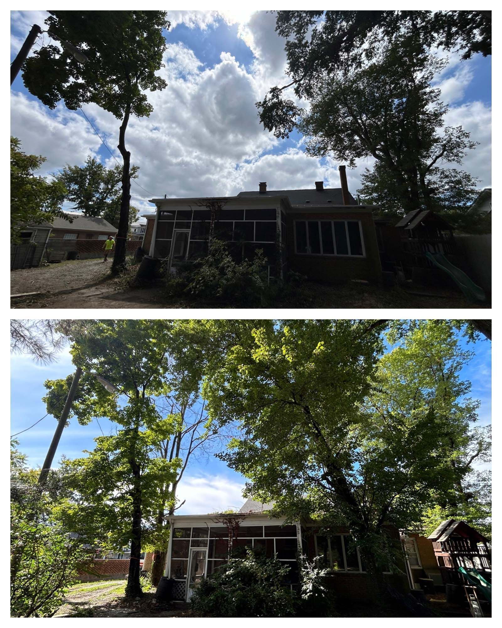 Two views of a small house beneath large trees, with cloudy sky above and sunlit green leaves below.