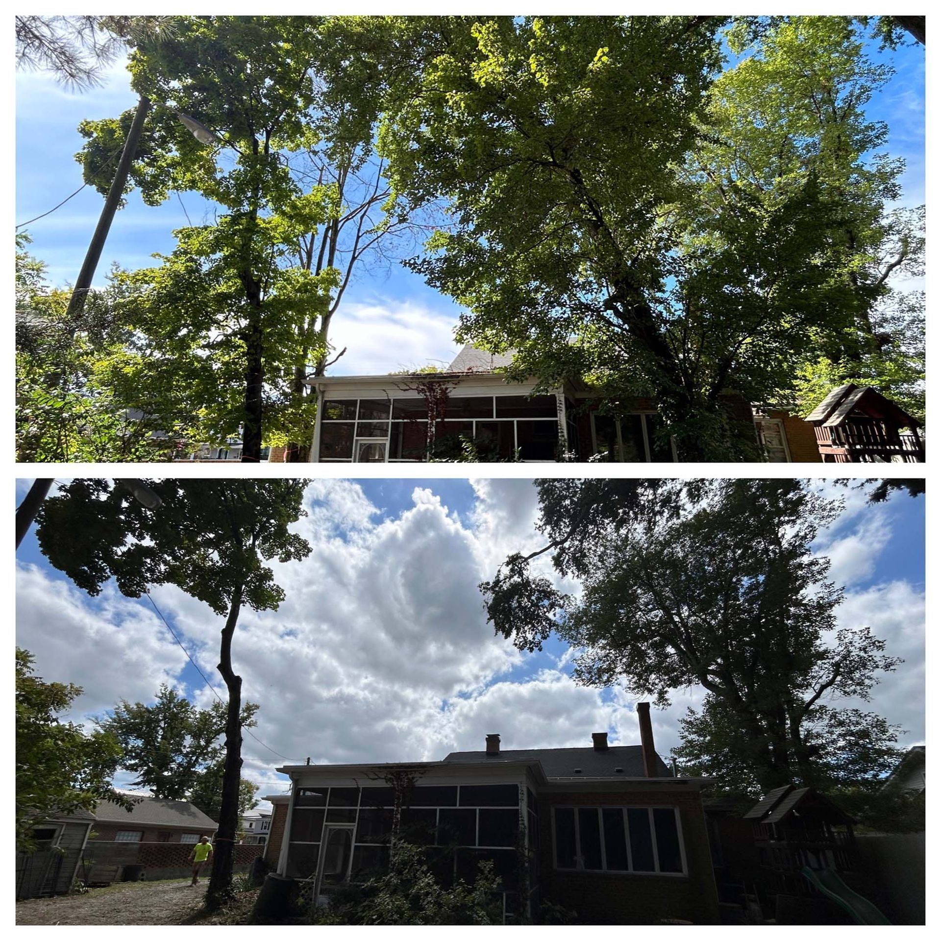 Two backyard house views under trees, one sunny and one cloudy, with a blue sky and a patio.