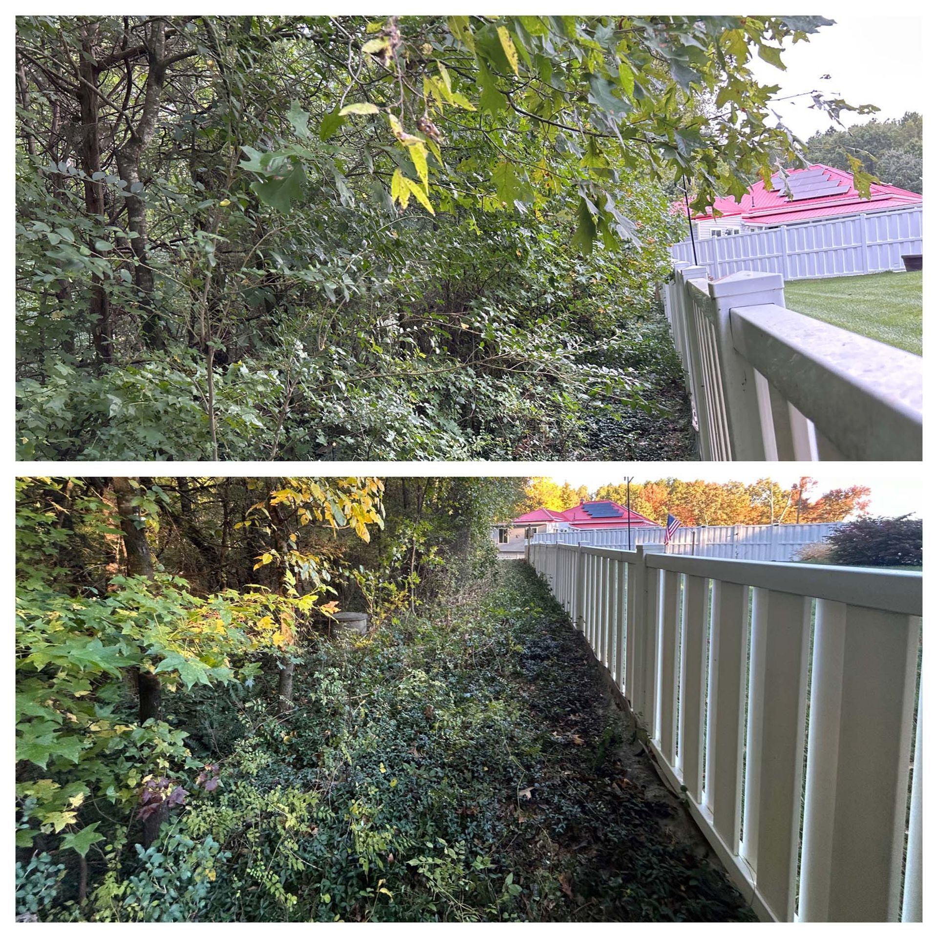 Two views of a leafy backyard beside a white fence in autumn.