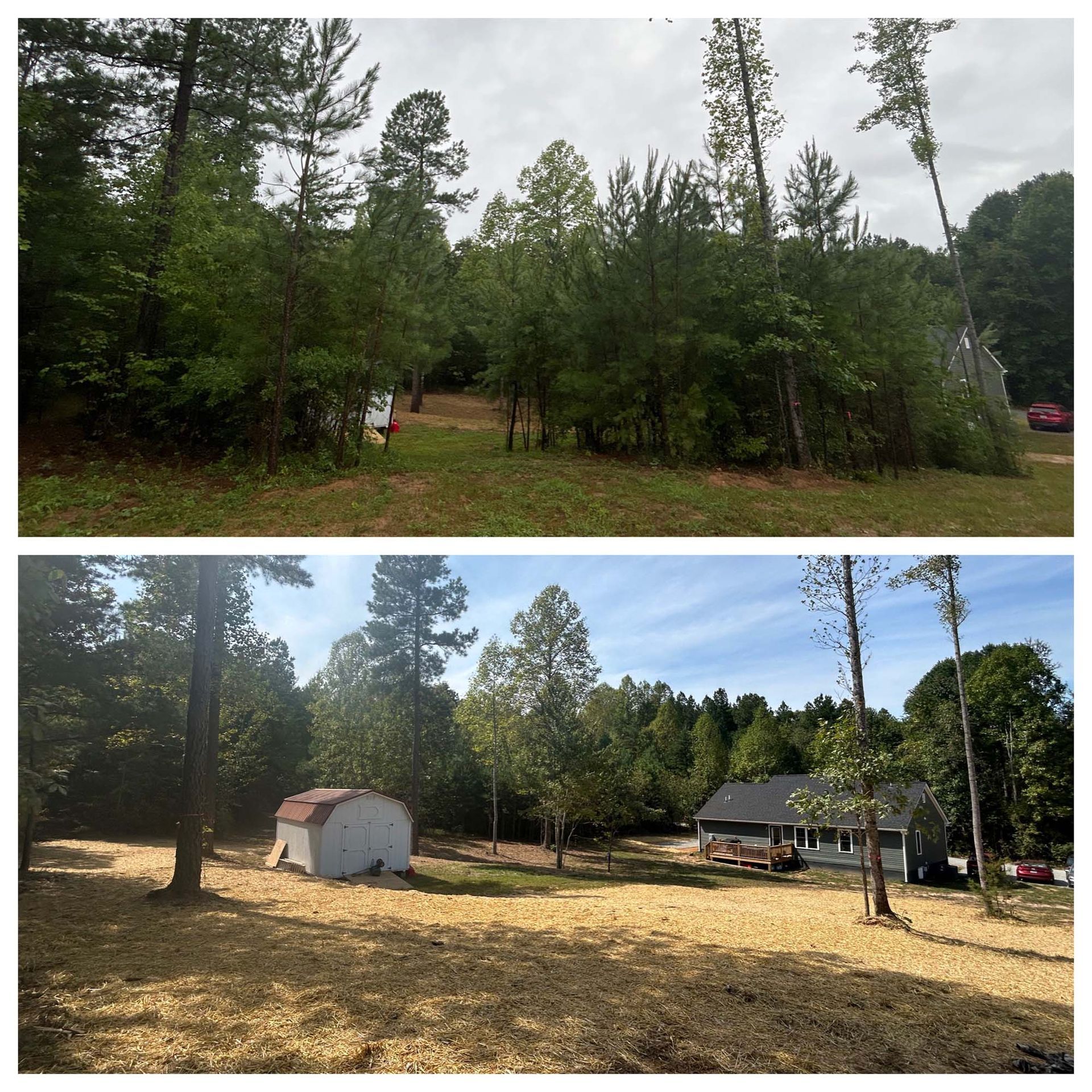 Two wooded campsite views: trees and clearing above, sunny campsite with shed and cabin below