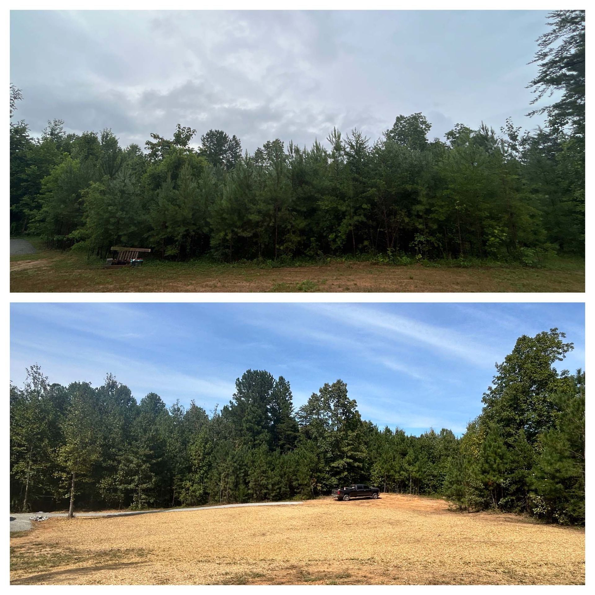 Before-and-after landscape: dense green trees above, cleared tan field below under a blue sky