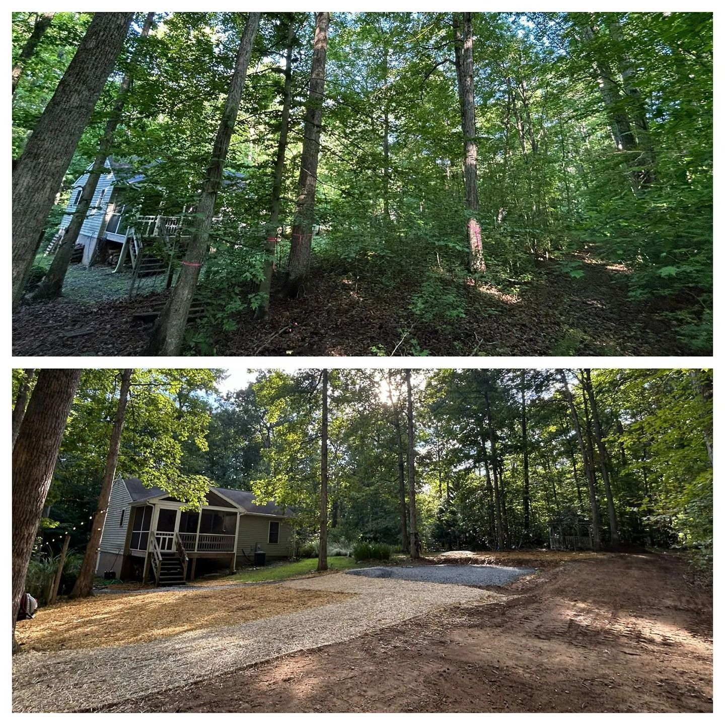 Wooded backyard with a house, gravel drive, and open clearing in dappled sunlight.