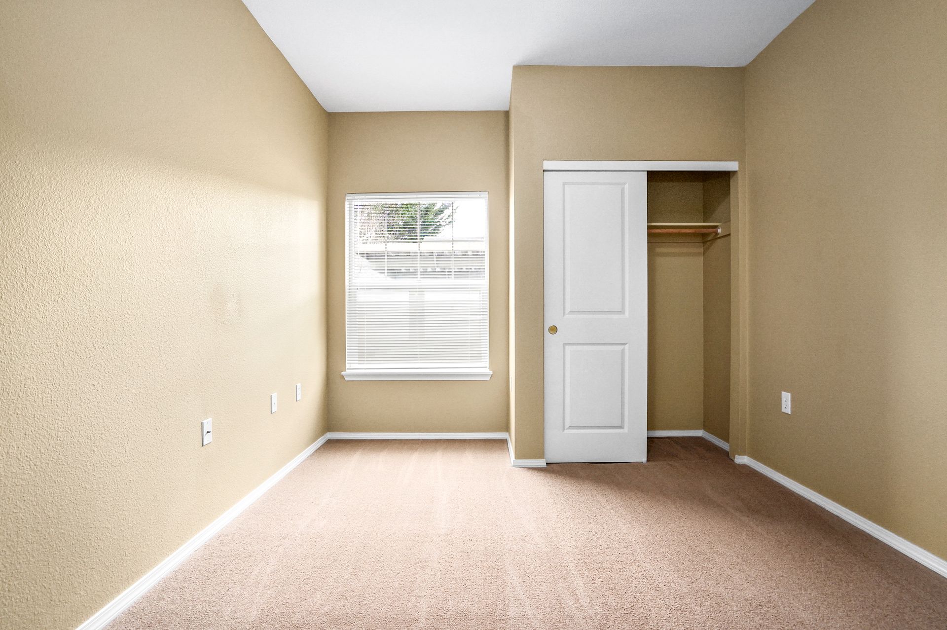Bedroom with beige walls, carpeted floor, window with blinds, and an open closet with sliding door and shelving.