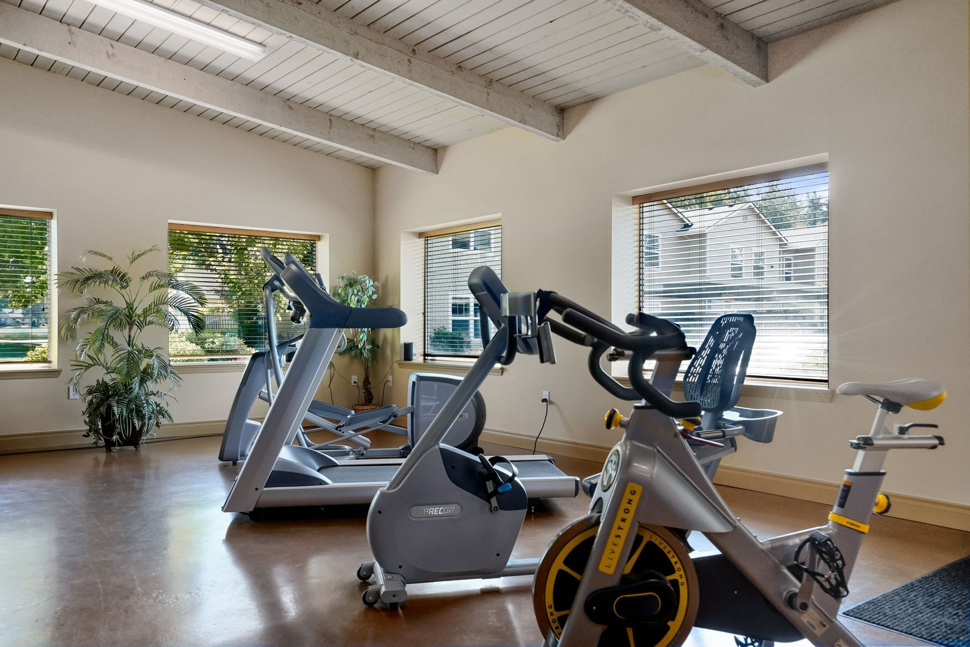 Fitness room with treadmills and stationary bikes, large windows, polished floors, indoor plants, and exposed ceiling beams.
