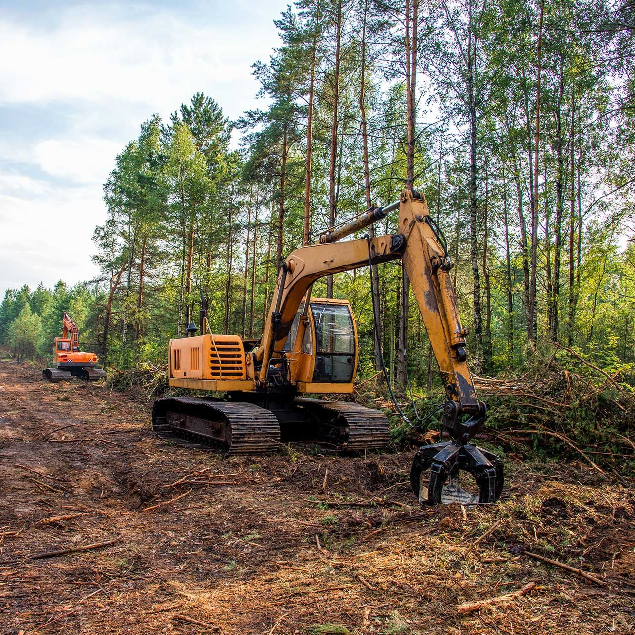 Excavator Grapple during clearing forest for new development