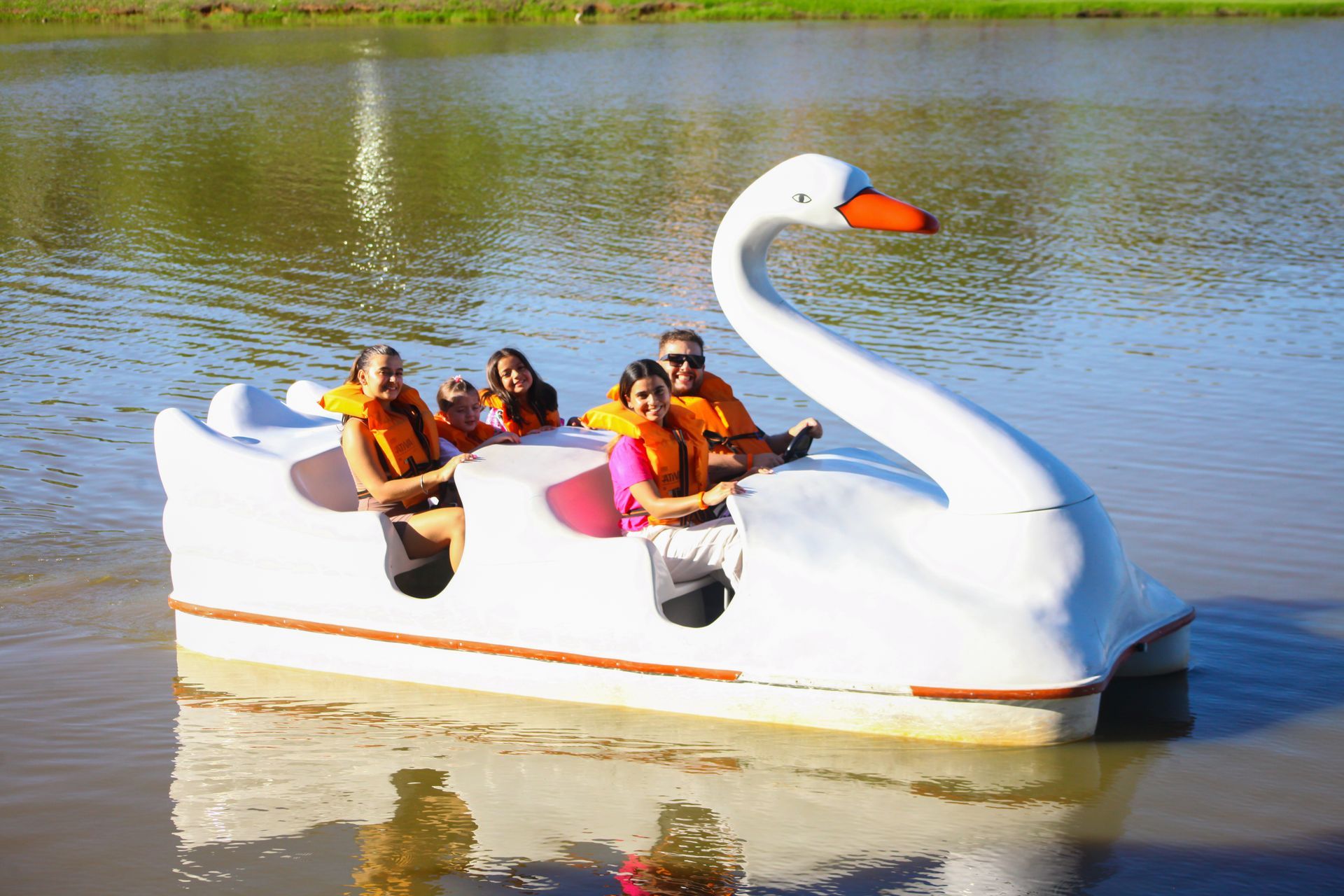 Um grupo de pessoas está andando de pedalinho em forma de cisne.