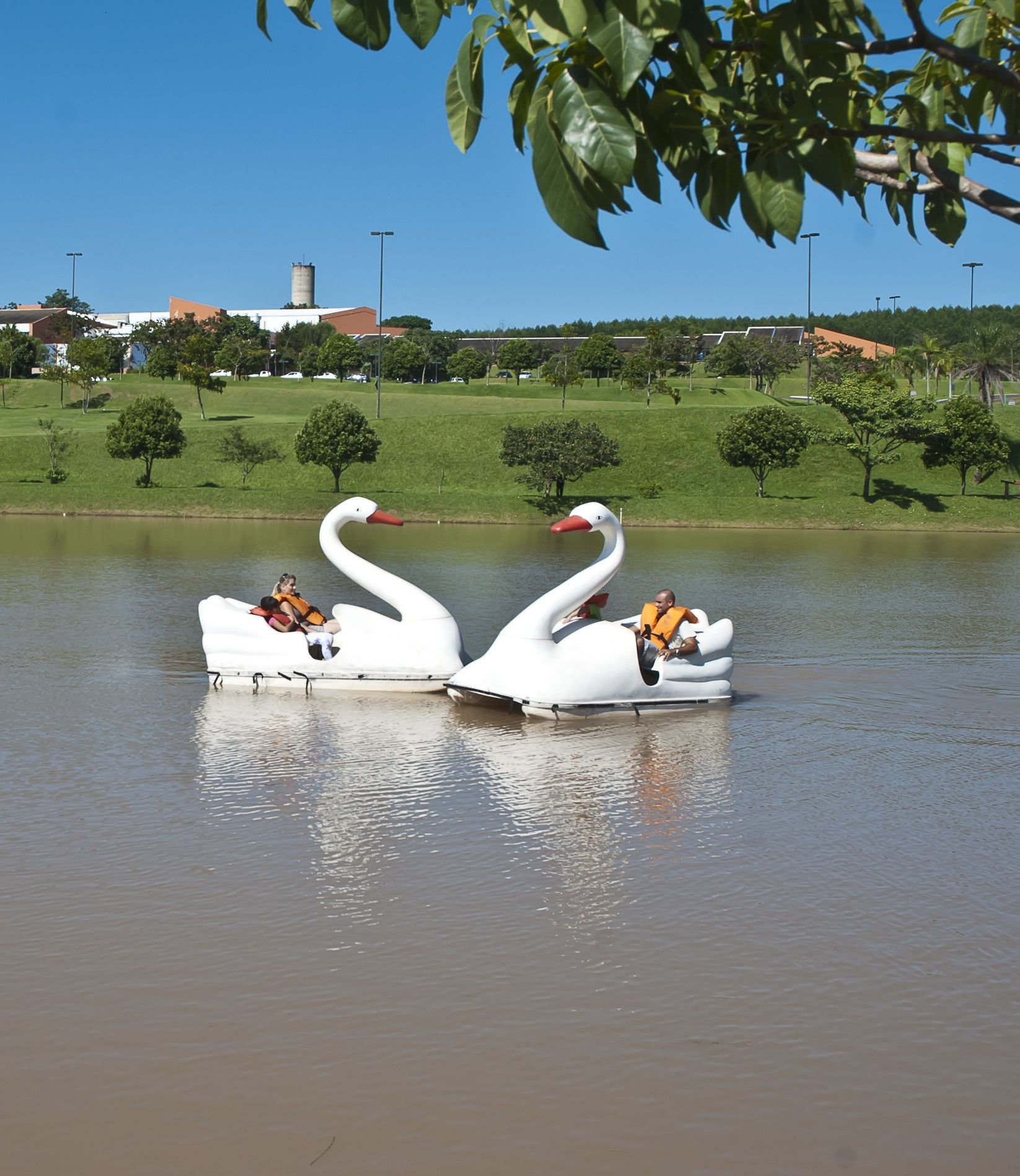 Duas pessoas estão andando de pedalinhos em um lago