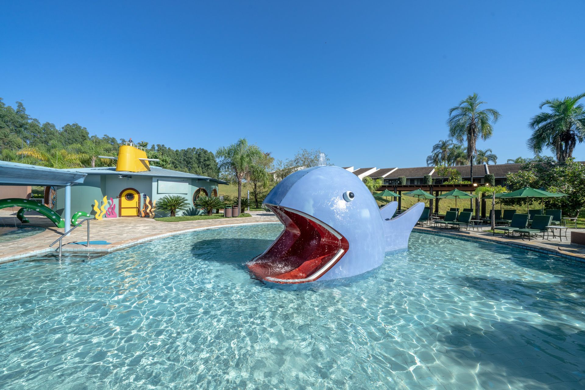 Uma baleia azul está flutuando em uma piscina com a boca aberta.