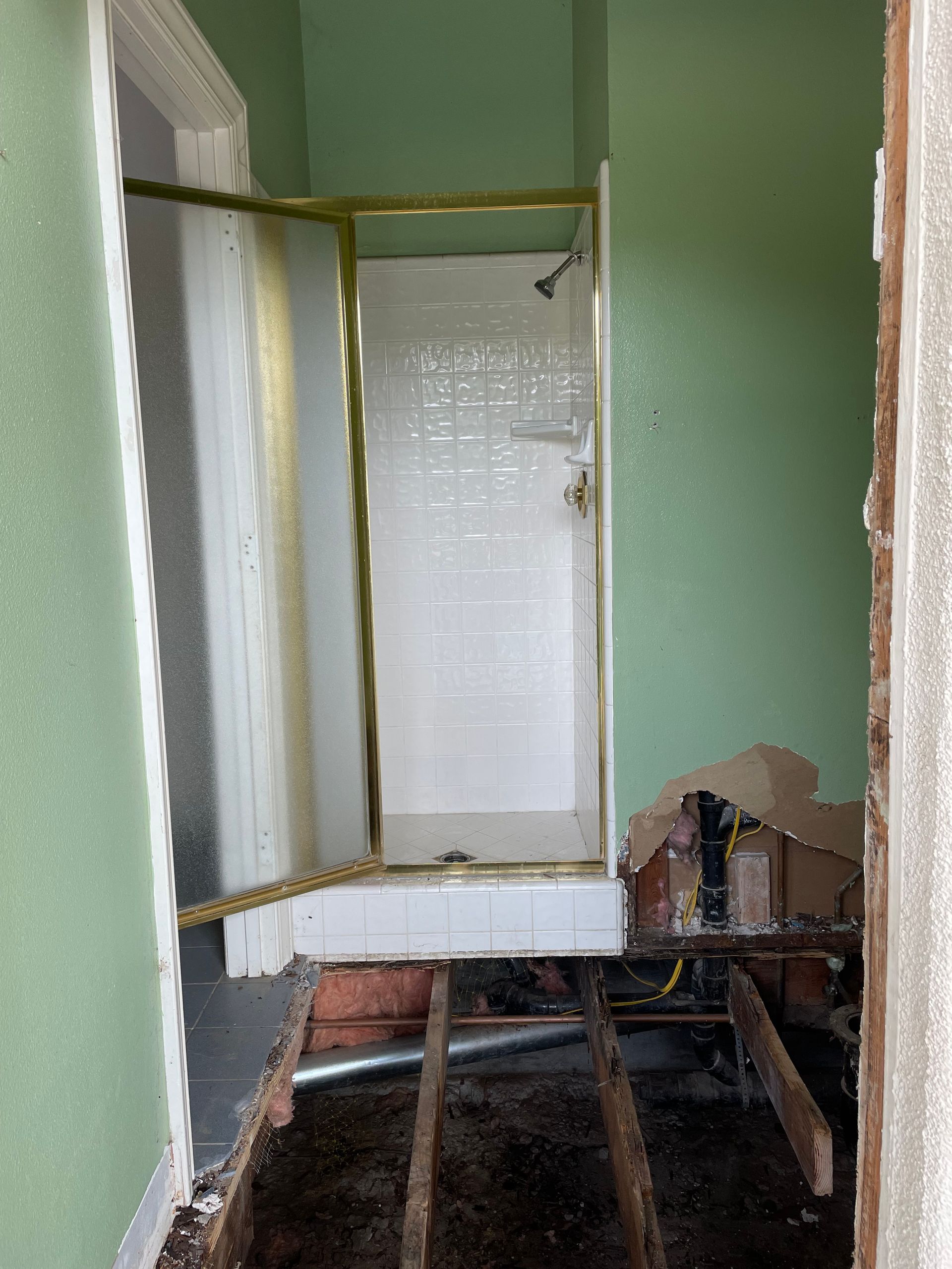 Partially stripped room with exposed floor joists, green walls, and a shower stall frame.