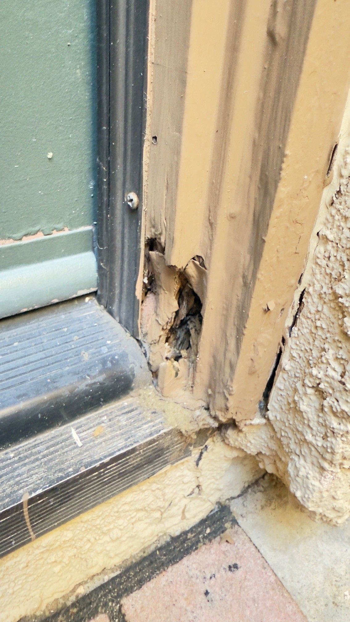 Nest of small birds in a wooden door frame, near a brick threshold. Brown and tan colors.