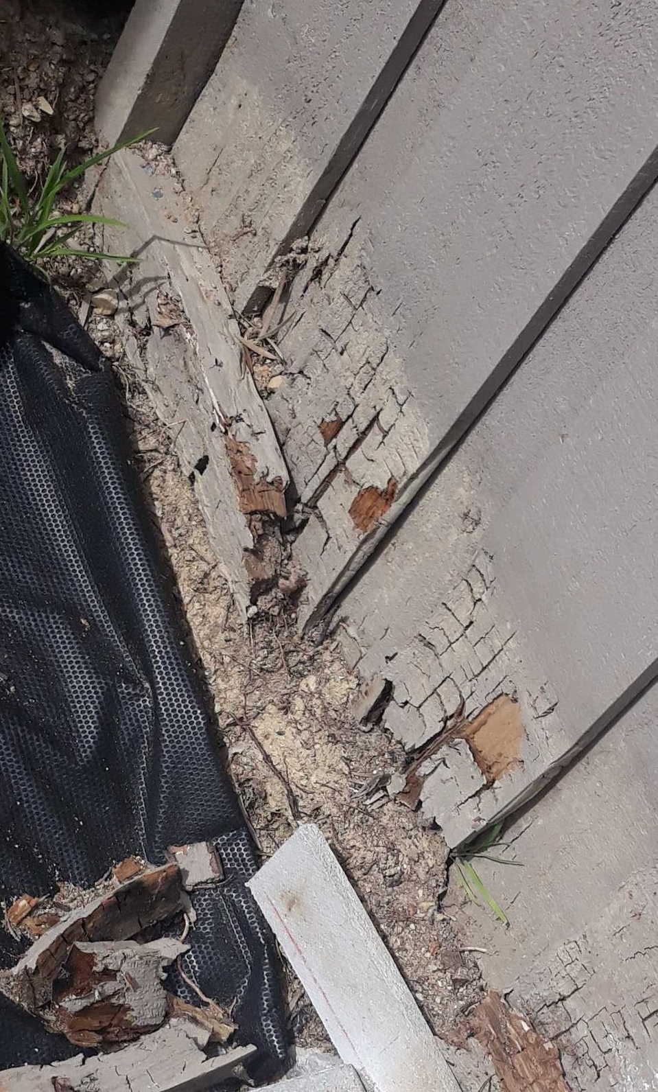 Damaged siding and trim with exposed wood, debris, and black landscaping fabric.