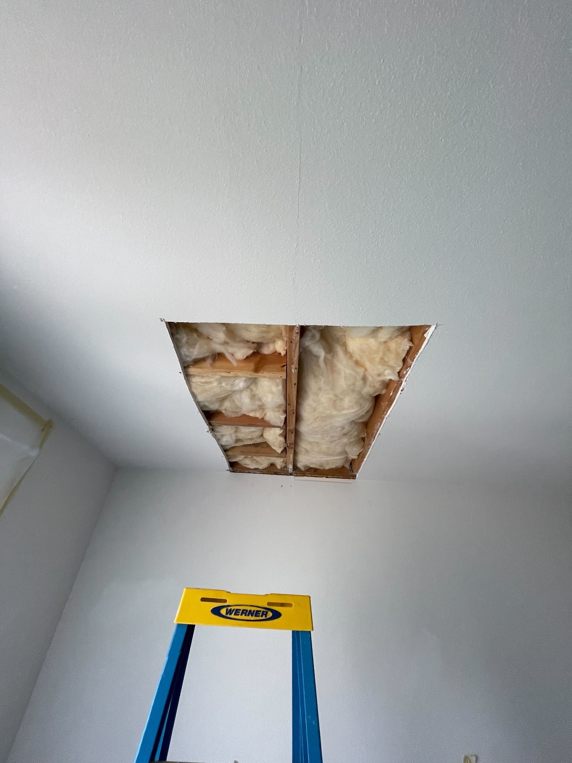 Hole in white ceiling exposing insulation and wooden beams, with a yellow and blue ladder below.
