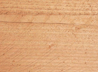 Close-up of light brown wood grain, showing horizontal lines and a narrow crack.