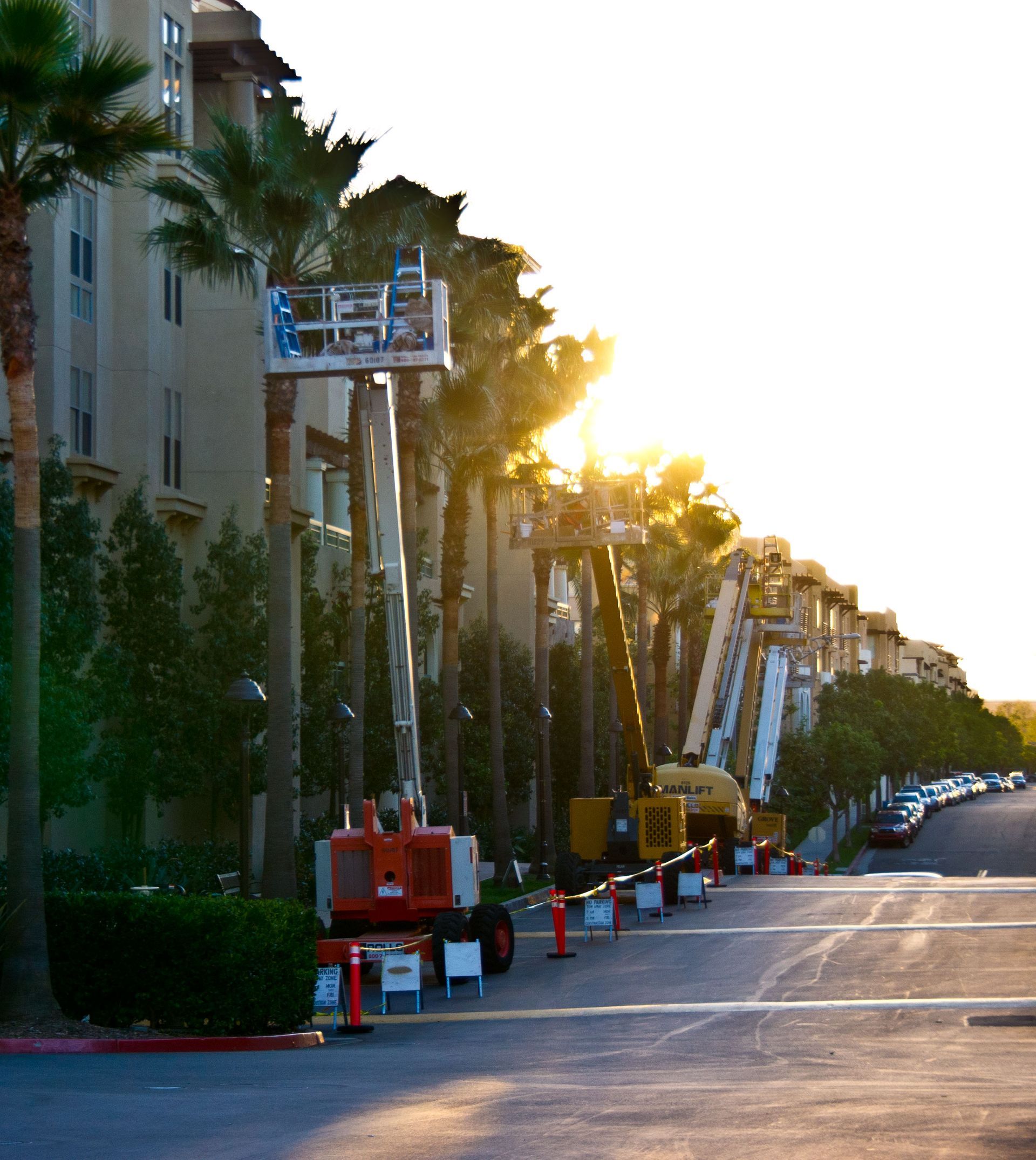 Sunlit palm-lined street with apartment buildings and utility lifts along the curb at sunset