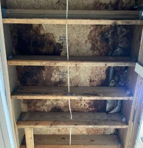 Wooden shelves with dark mold stains on the backboard, possibly due to water damage.