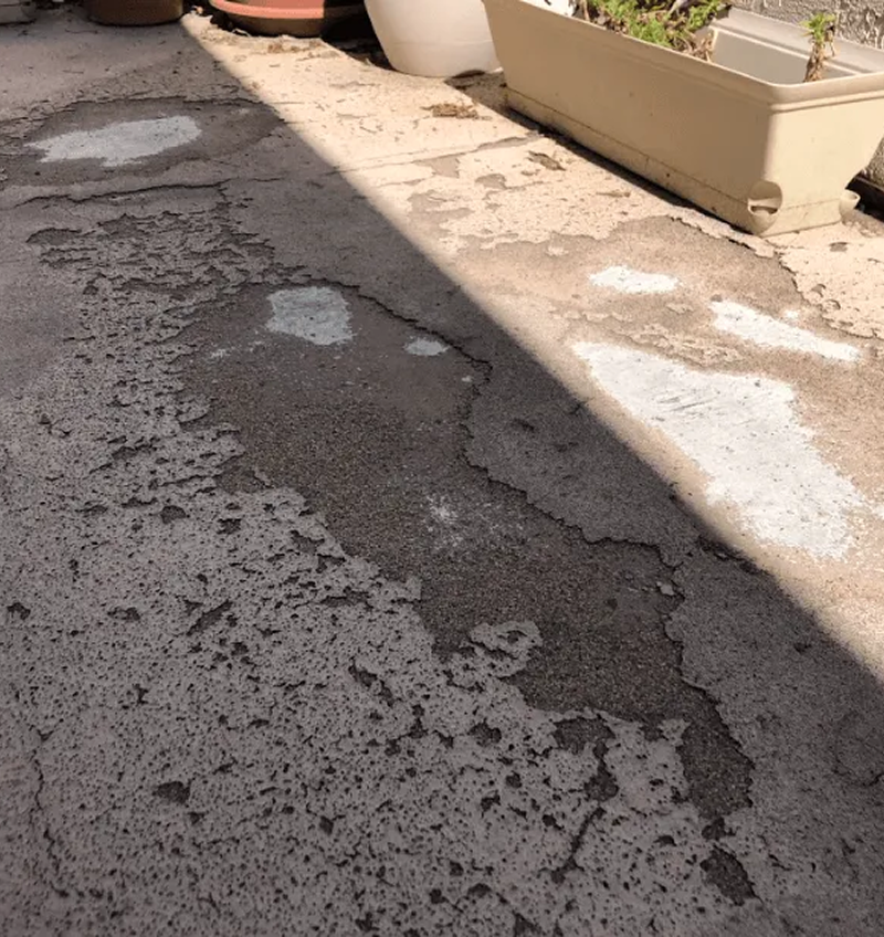 A potted plant is sitting on the side of the road