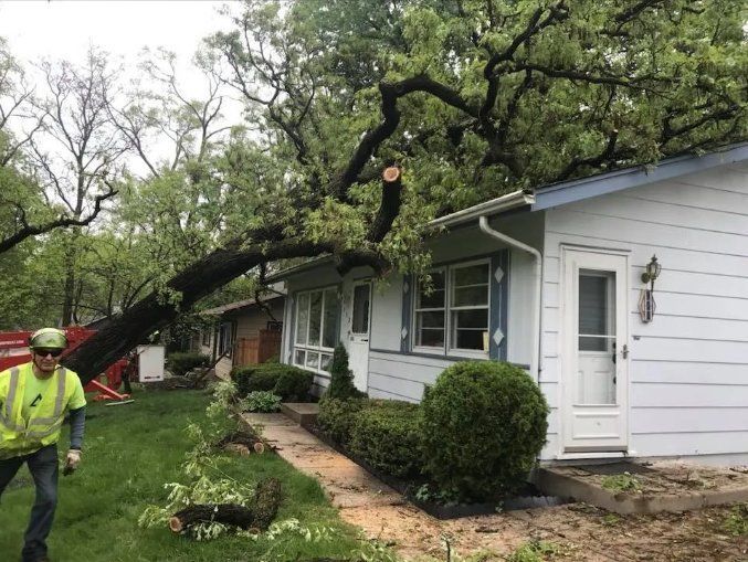 A man is standing in front of a house with a tree fallen on it.