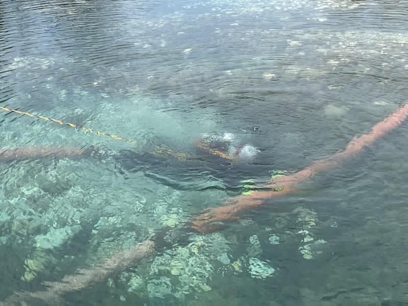 INLAND DIVING