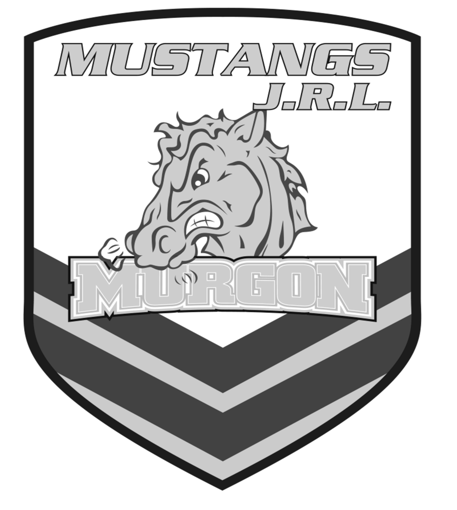 James Giles Plumbing Pty Ltd sponsoring the Murgon Mustangs Junior Rugby League Club 