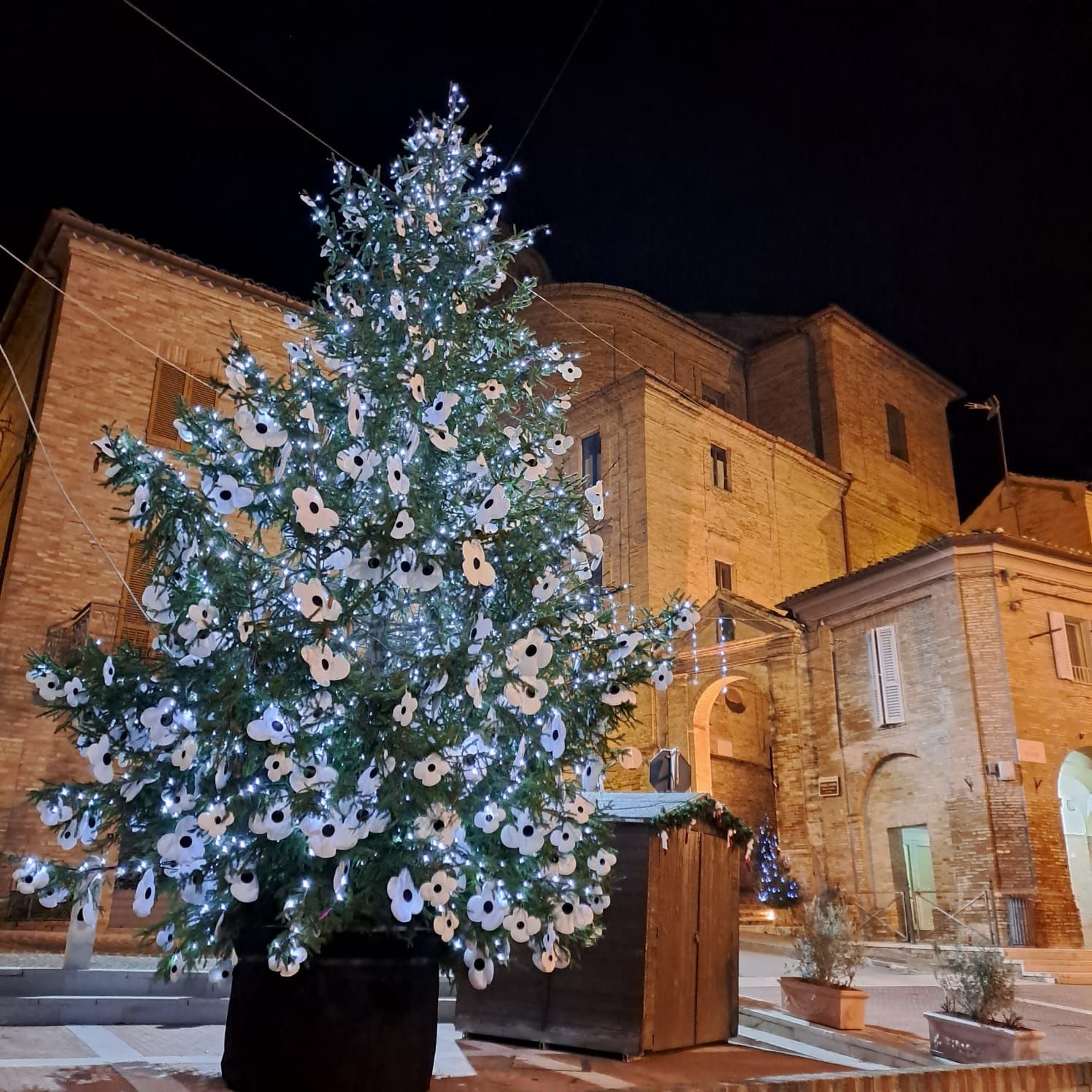 albero natale