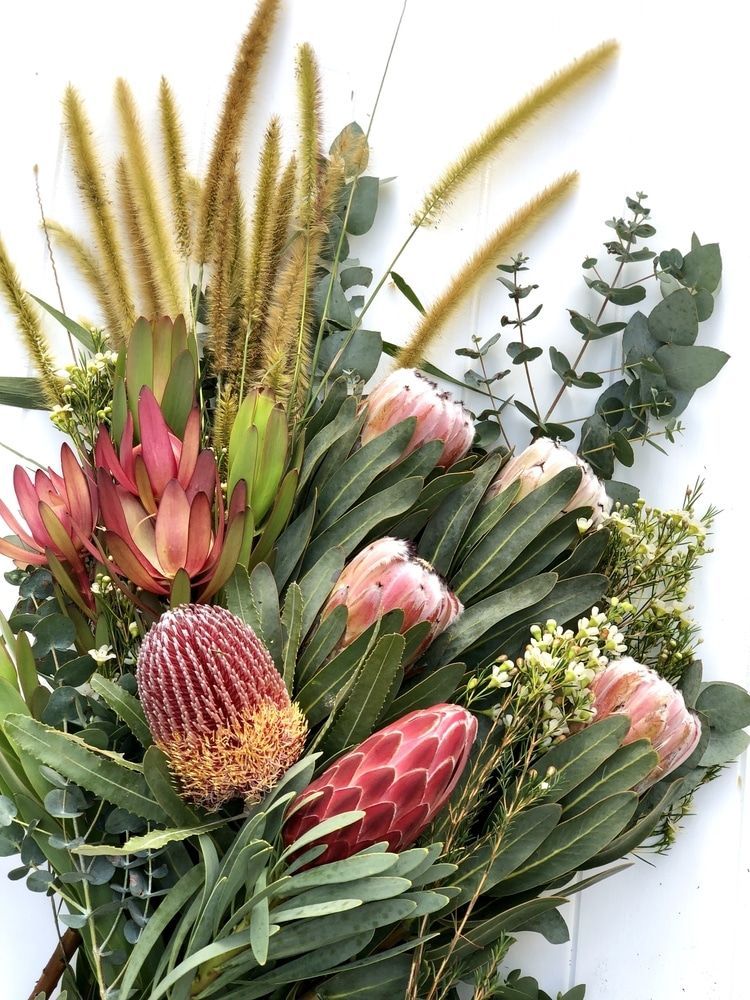 A Bouquet of Flowers and Leaves on a White Surface — Suncoast Flowers in Birtinya, QLD