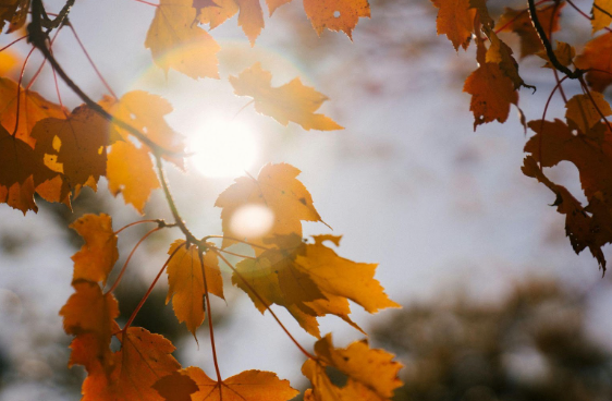 Sun Damage Doesn’t Stop in Fall: Why Year-Round SPF Is Essential | Pine Belt Dermatology