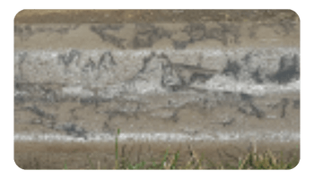 Elephant Skin Mower decorative curbing