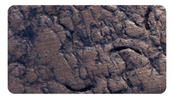 Elephant Skin curbing
