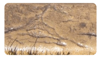 Spanish Texture curbing