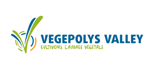 Advantis Conseils